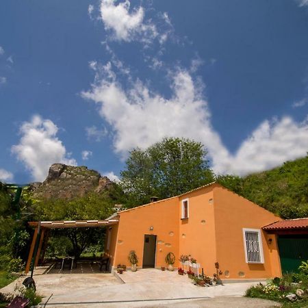 B&B Casa Vacanze Benvenuti Al Sud Aiello Calabro Exteriér fotografie