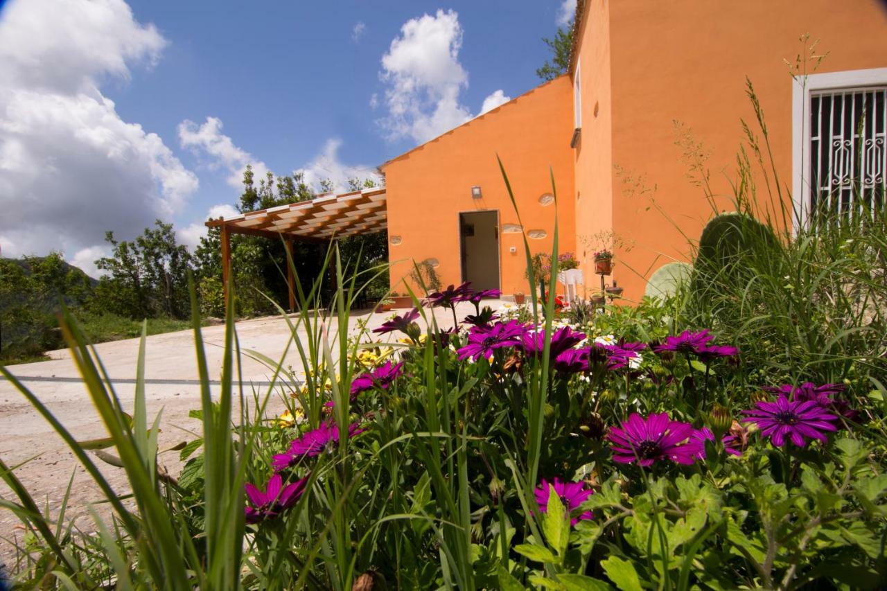 B&B Casa Vacanze Benvenuti Al Sud Aiello Calabro Exteriér fotografie